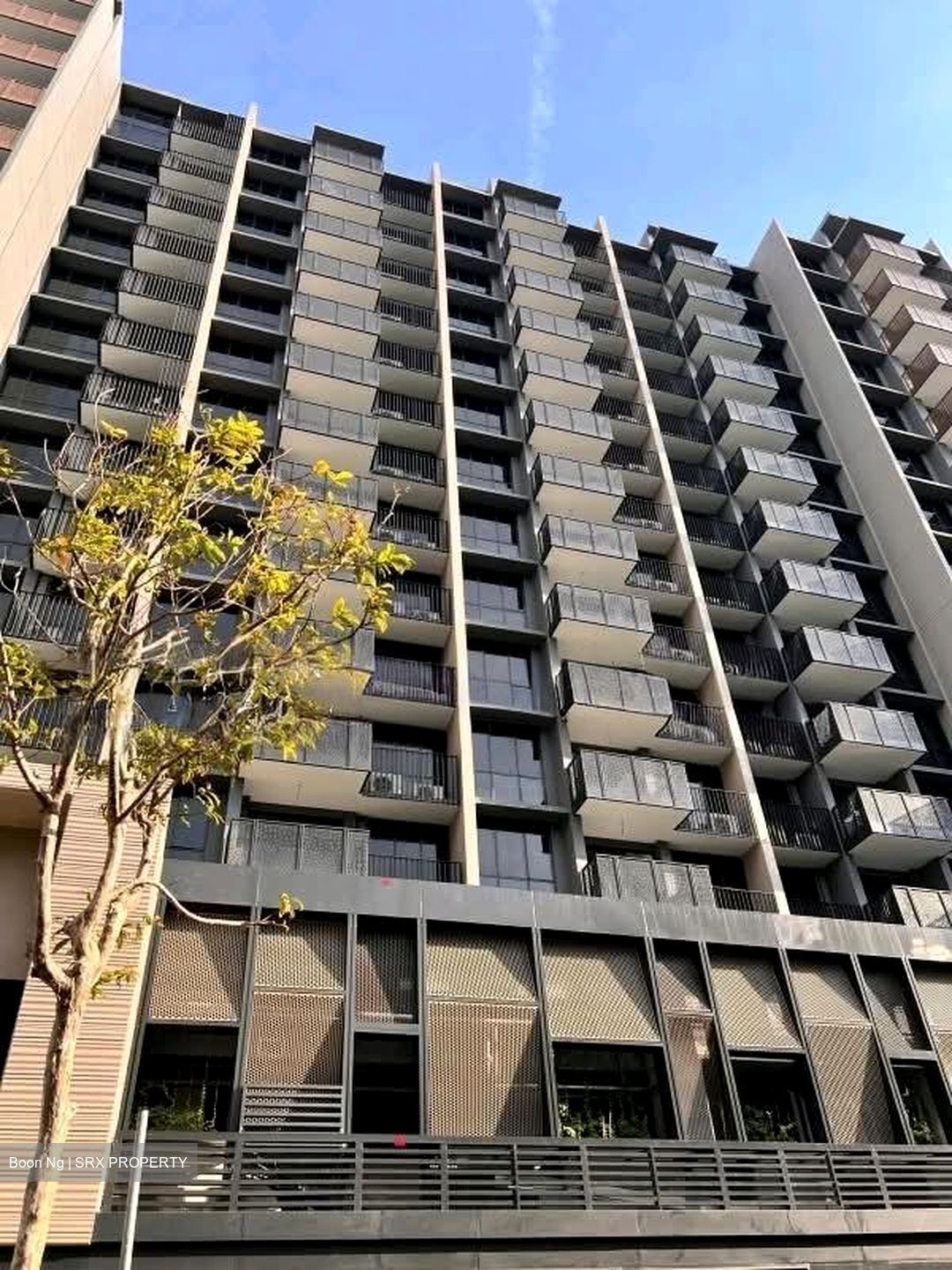 Sceneca Residence (D16), Apartment #539448071